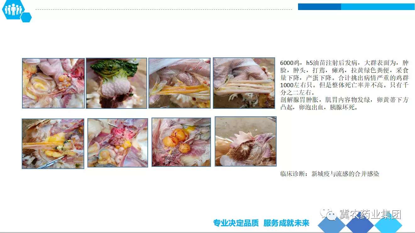 微信圖片_20190506172750.jpg