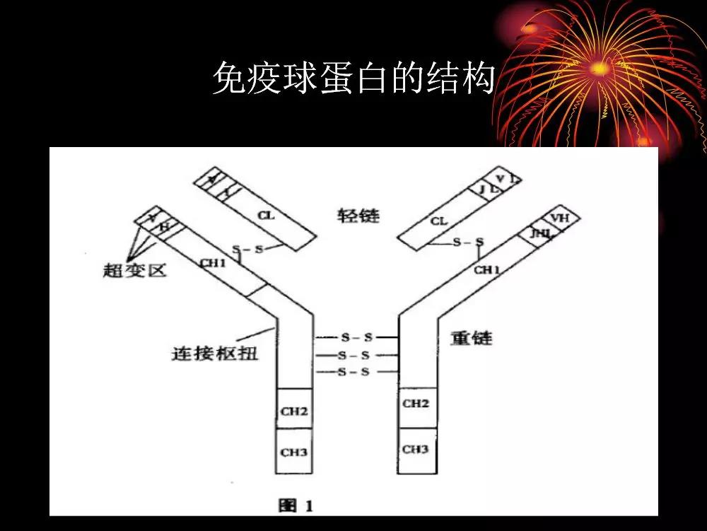微信圖片_20190801165258.jpg
