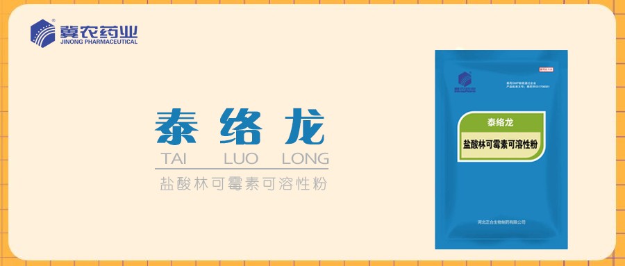 泰絡(luò)龍橫圖.jpg