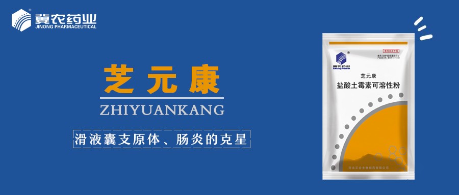 芝元康宣傳圖.jpg